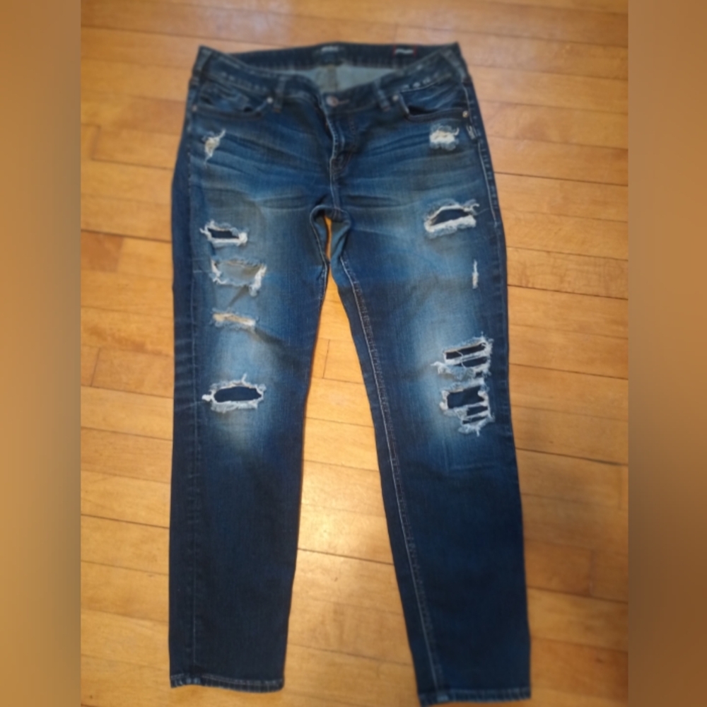 Women's Silver Aiko Distressed Blue Jeans
